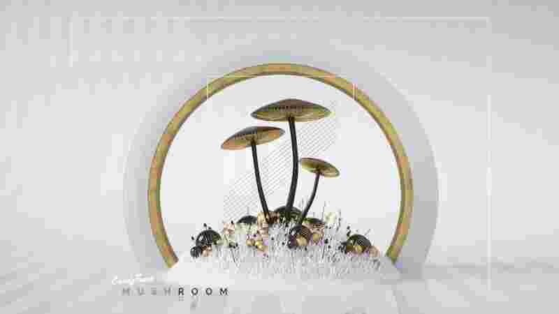 Mushrooms Scene 01 Post