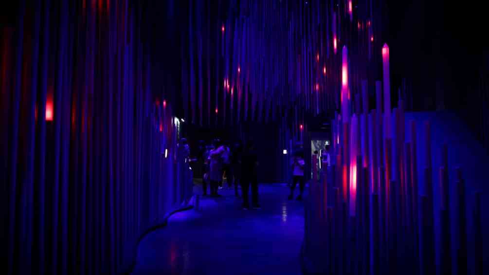 110 Expo Dubai Swiss Pavillion Loop V2 standbild
